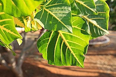 腾讯自研高性能机械臂官宣：集成768点触觉阵列