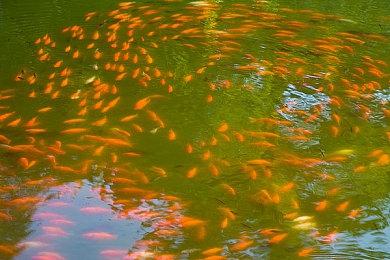 生活模拟游戏《inZOI》科隆实机预告 B测今日开启